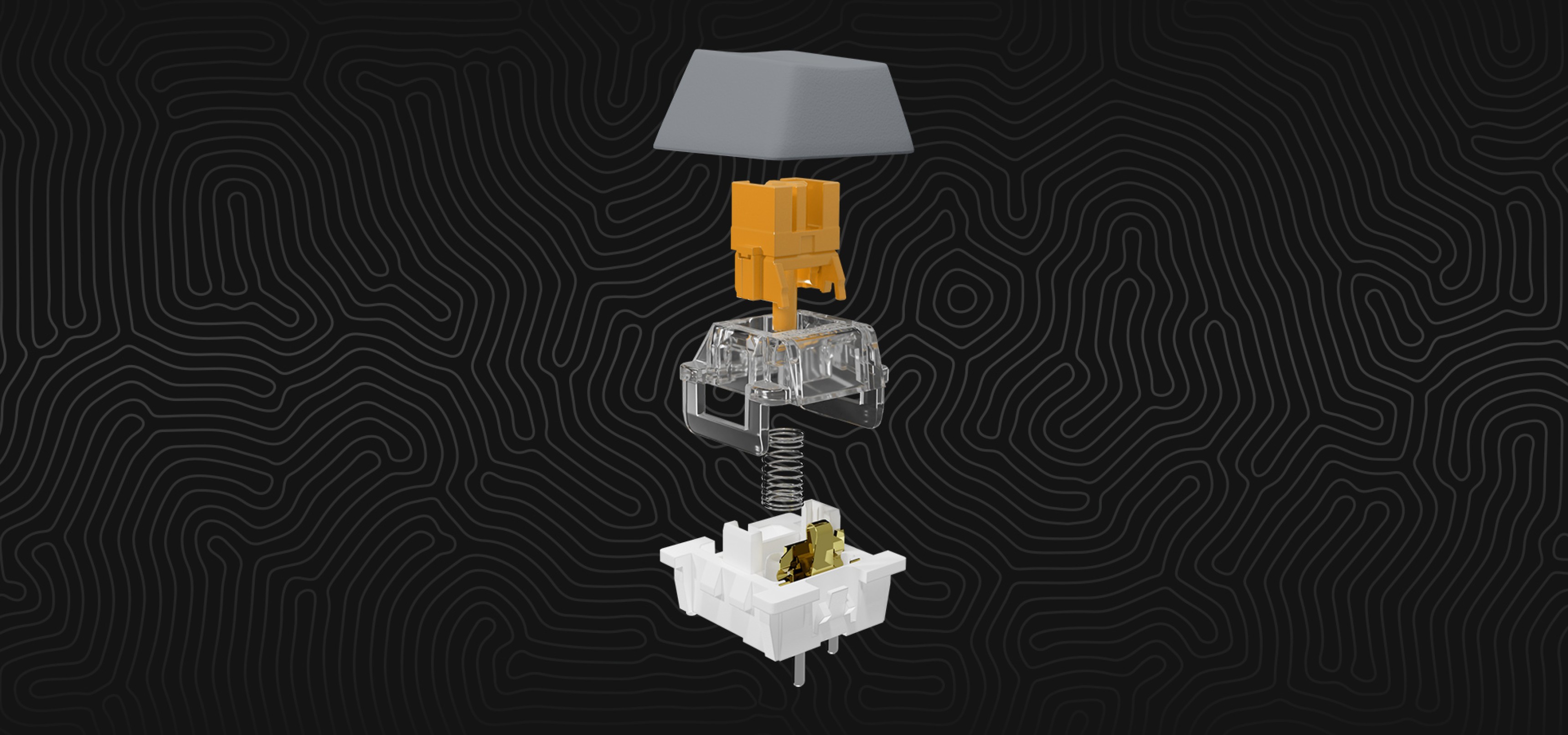 Exploded view of a mechanical switch showing keycap, housing, and internal spring mechanism.